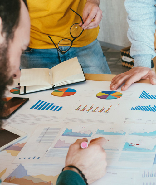 Création de plantations